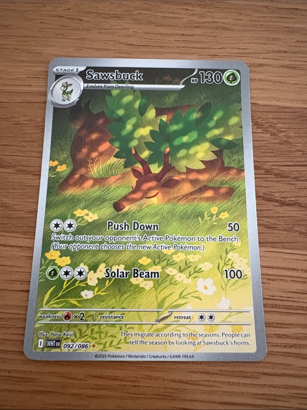 Pokemon Sawsbuck Green and Brown Full-Art Card